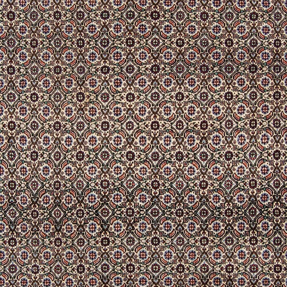 Tapis persan - Classique - 294 x 197 cm - beige