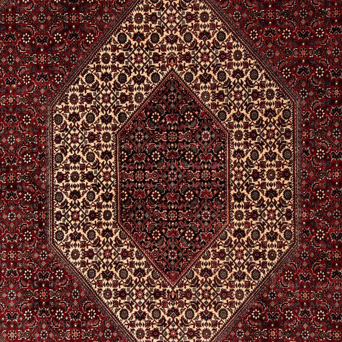 Tapis persan - Bidjar - 251 x 201 cm - rouge foncé