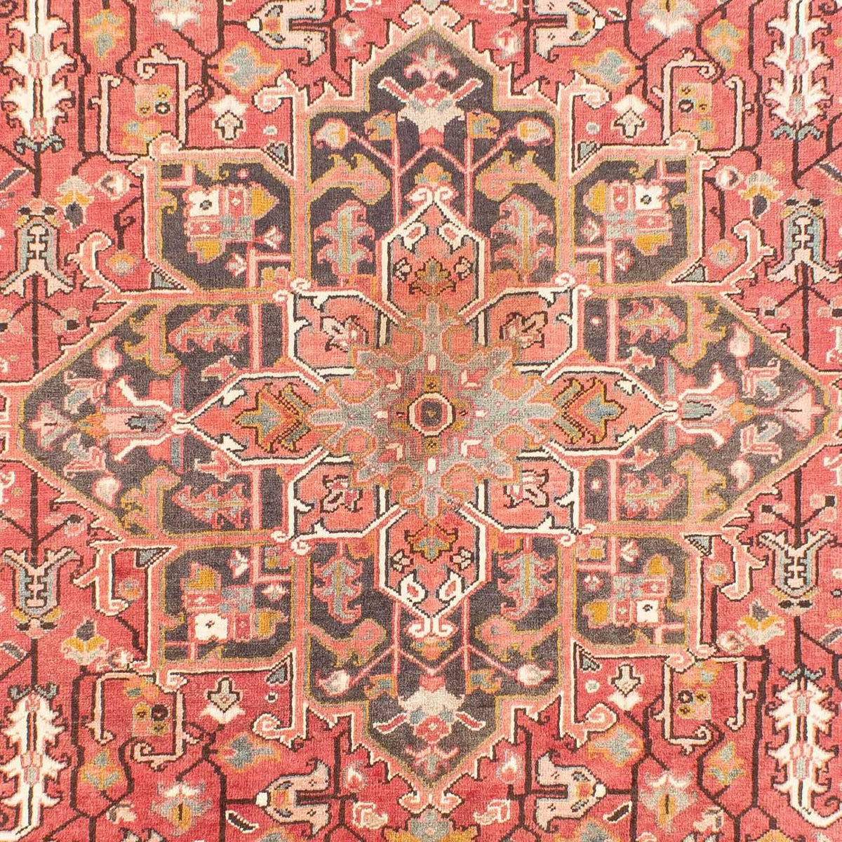 Tapis persan - Nomadic - 320 x 226 cm - rouge