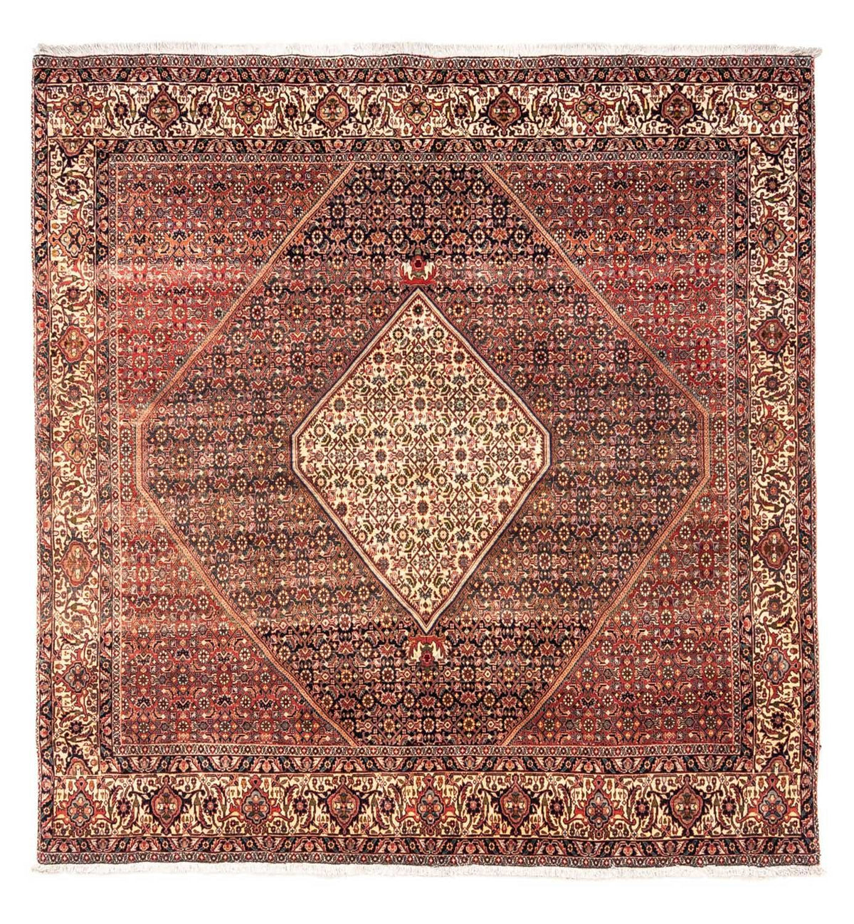 Tapis persan - Bidjar carré - 208 x 198 cm - rouge