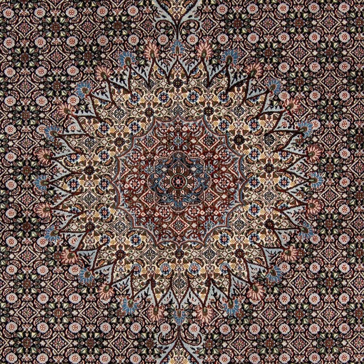 Tapis persan - Classique - 291 x 206 cm - bleu foncé