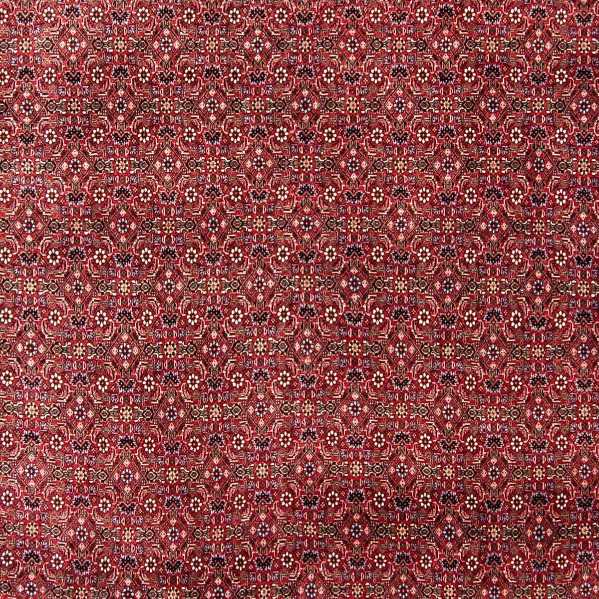 Tapis persan - Bidjar - 300 x 253 cm - rouge foncé