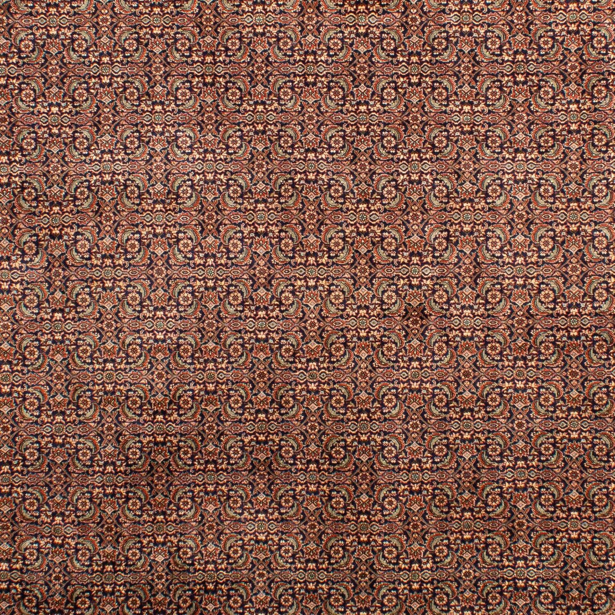 Tapis persan - Bidjar - 298 x 202 cm - multicolore