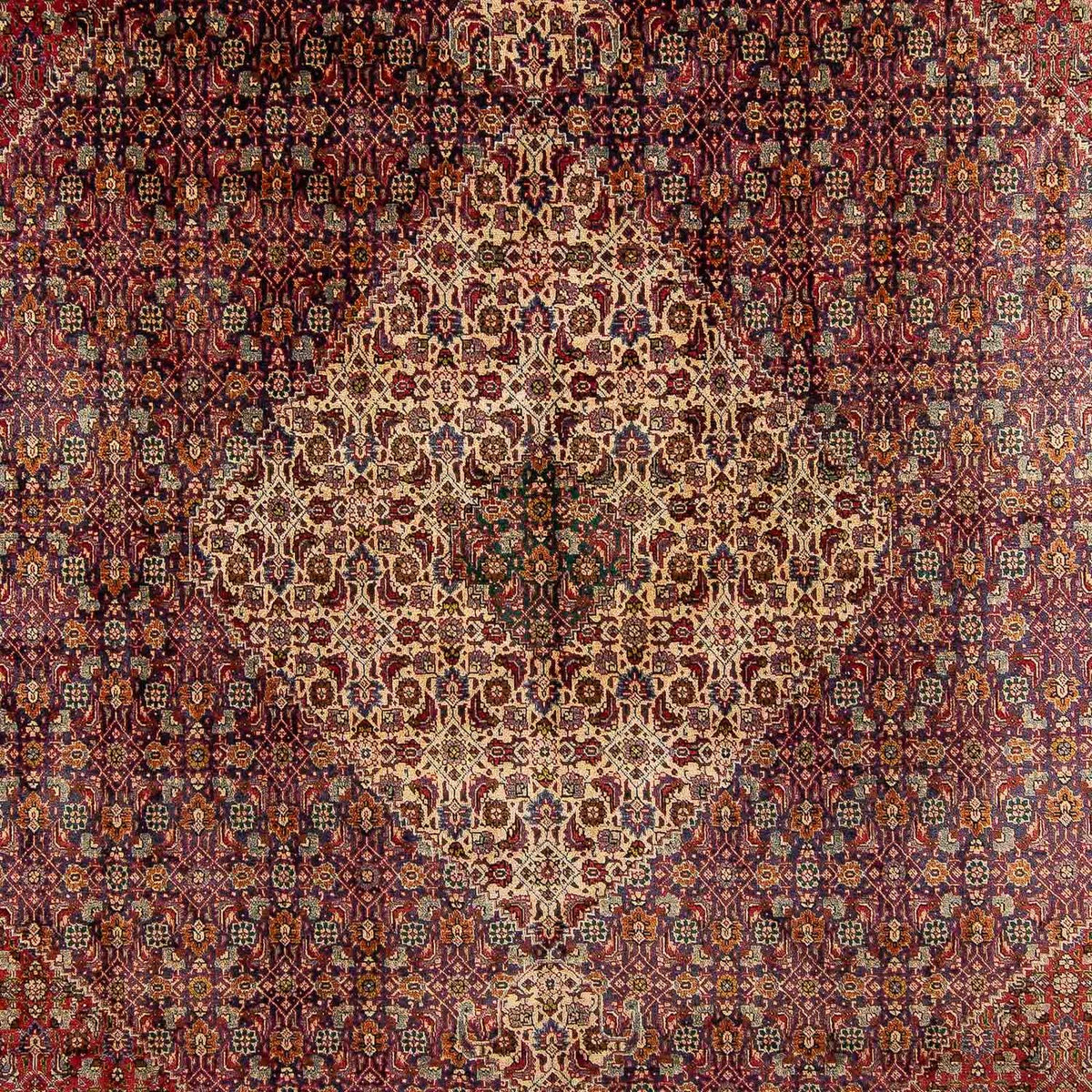 Tapis persan - Tabriz - 392 x 310 cm - multicolore