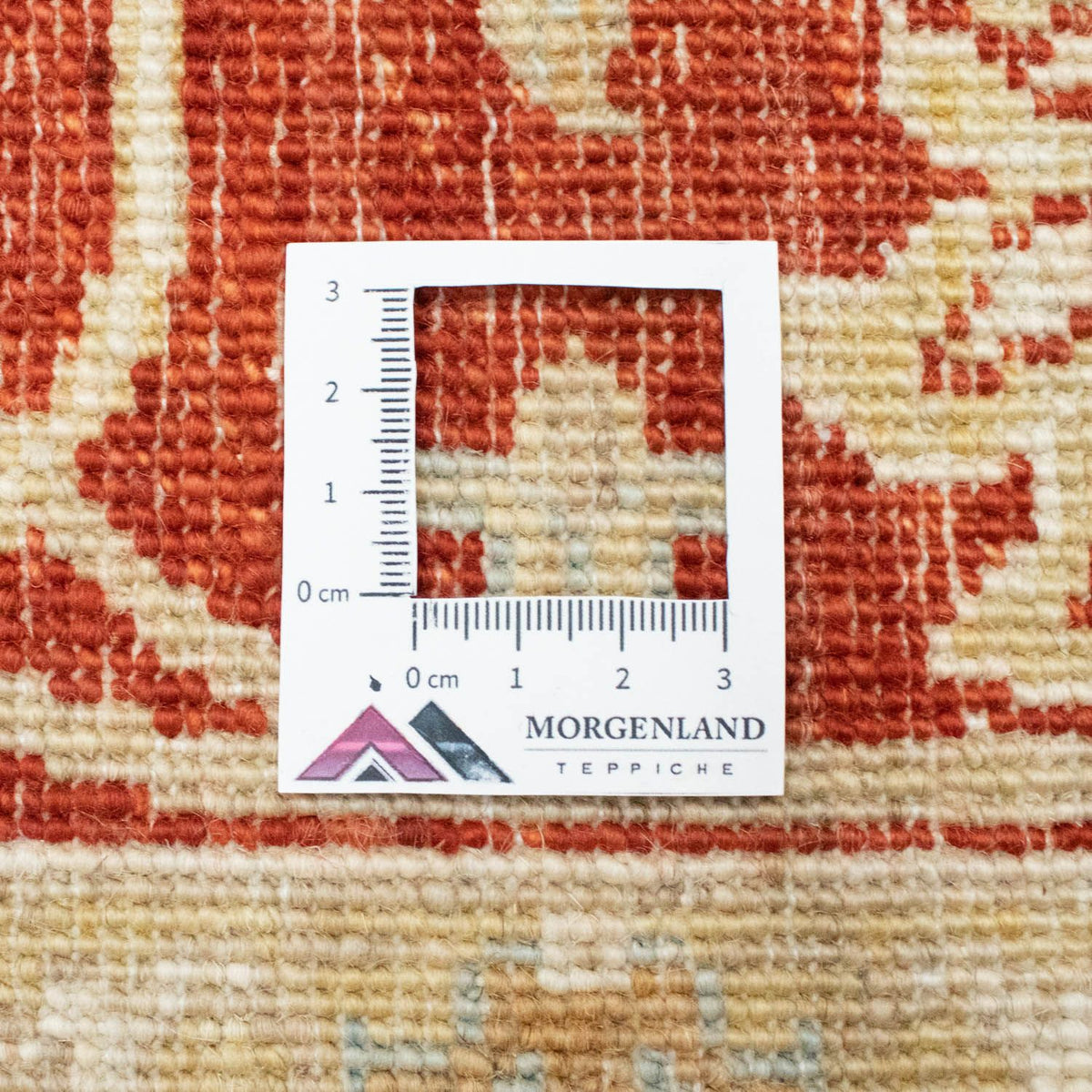 Tapis Ziegler - 200 x 150 cm - beige