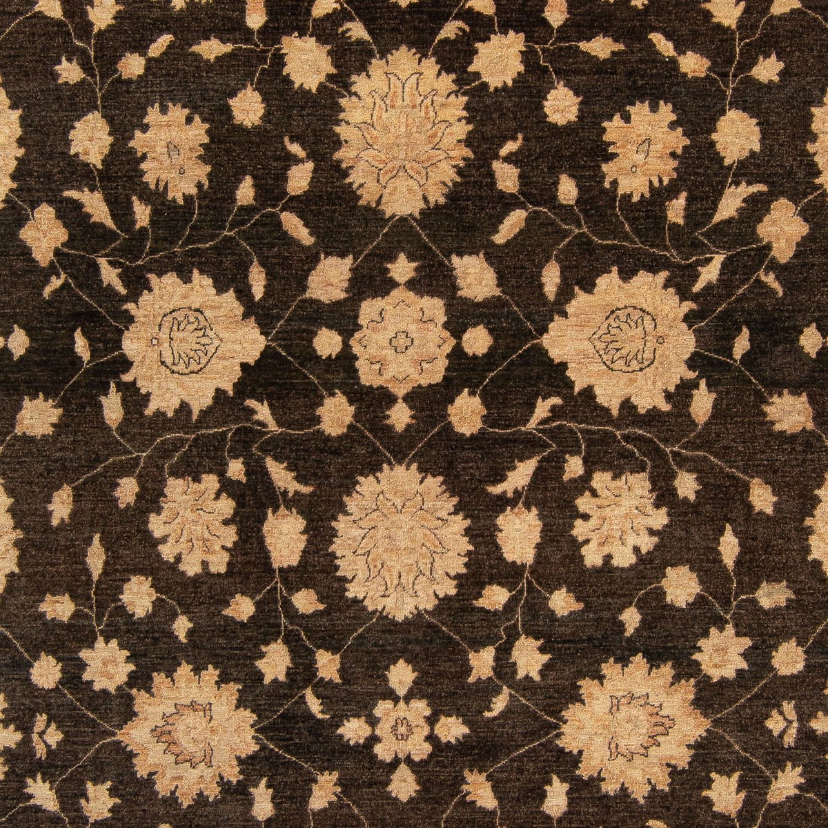 Tapis Ziegler - 349 x 248 cm - bleu foncé