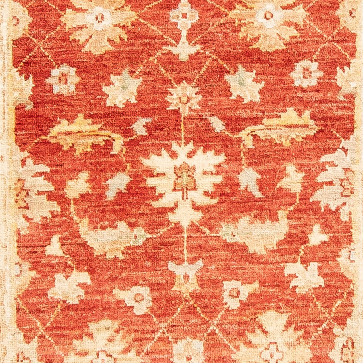 Tapis de couloir Tapis Ziegler - 263 x 73 cm - rouille