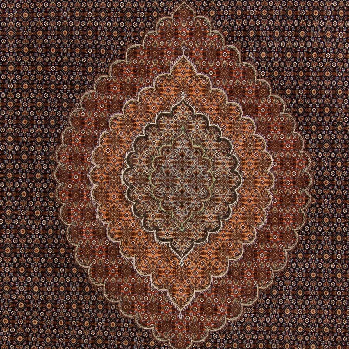 Tapis persan - Tabriz - 359 x 252 cm - marron