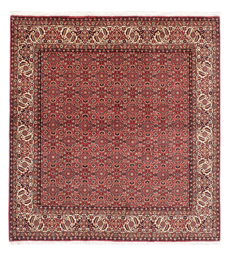 Tapis persan - Bidjar carré  - 208 x 200 cm - rouge clair