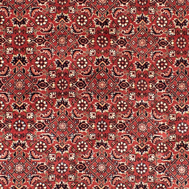 Tapis persan - Bidjar carré  - 208 x 200 cm - rouge clair