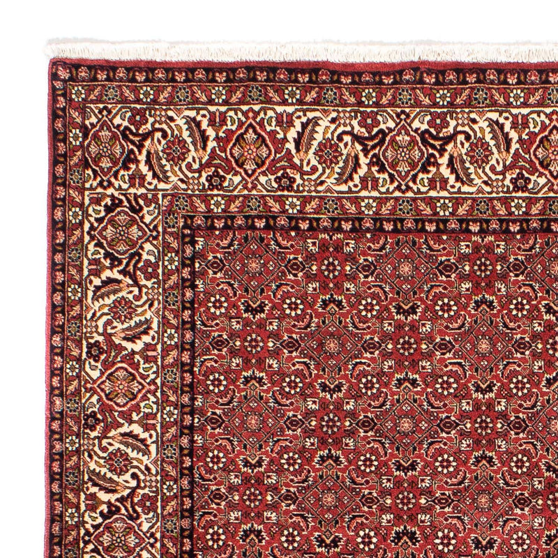 Tapis persan - Bidjar carré  - 208 x 200 cm - rouge clair