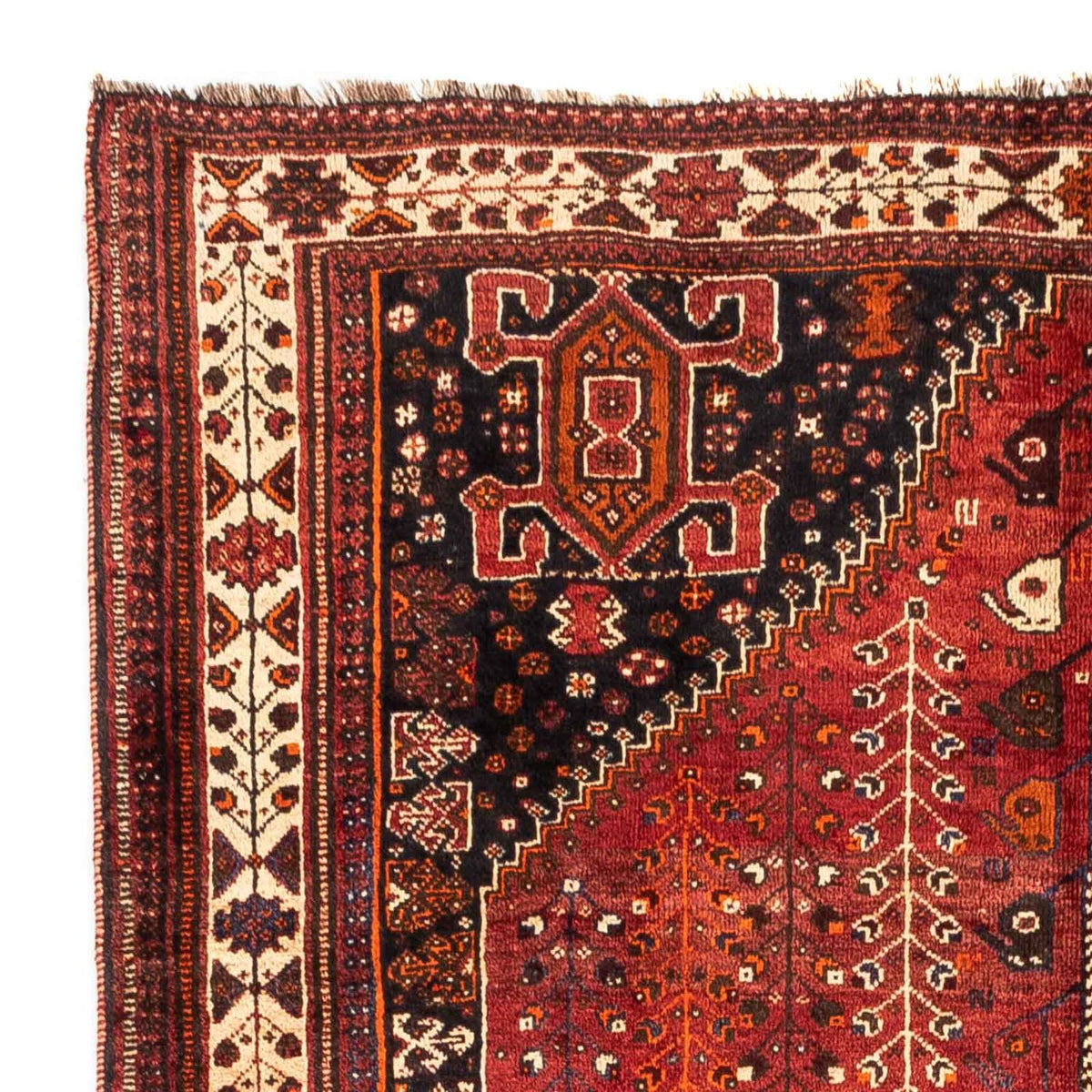 Tapis persan - Nomadic - 258 x 163 cm - rouge foncé