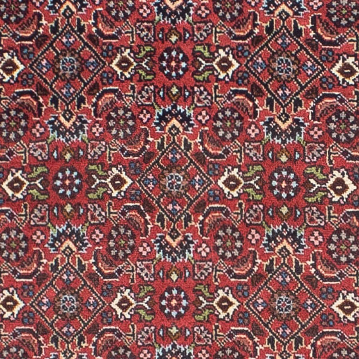 Tapis de couloir Tapis persan - Bidjar - 243 x 68 cm - rouge clair