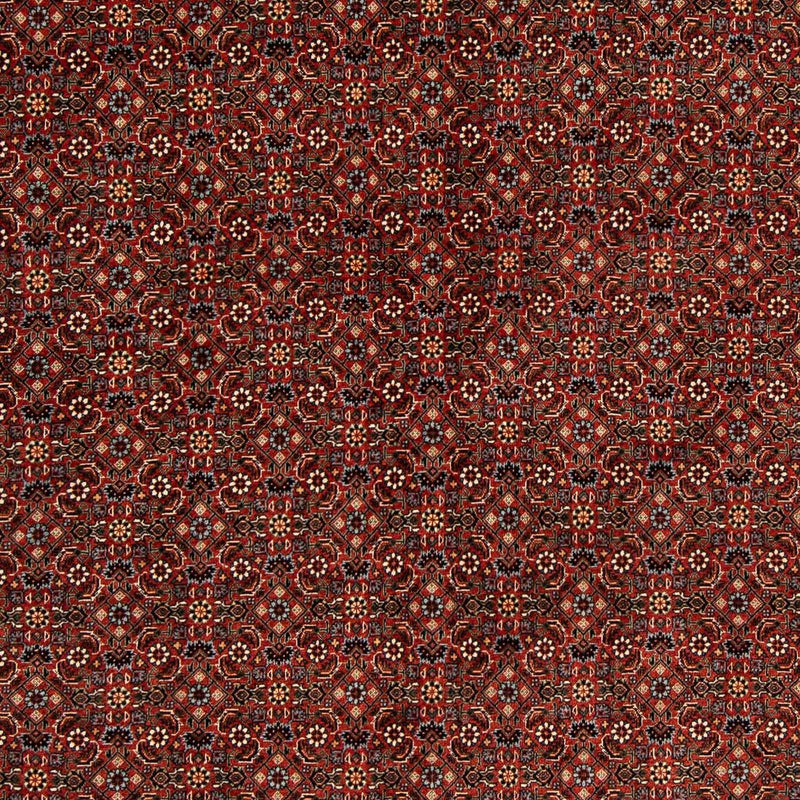 Tapis persan - Bidjar carré  - 203 x 197 cm - rouge foncé