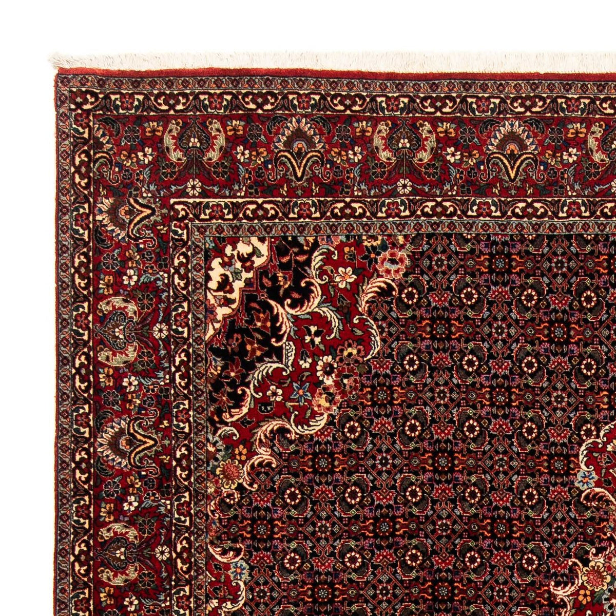 Tapis persan - Bidjar - 252 x 200 cm - rouge foncé