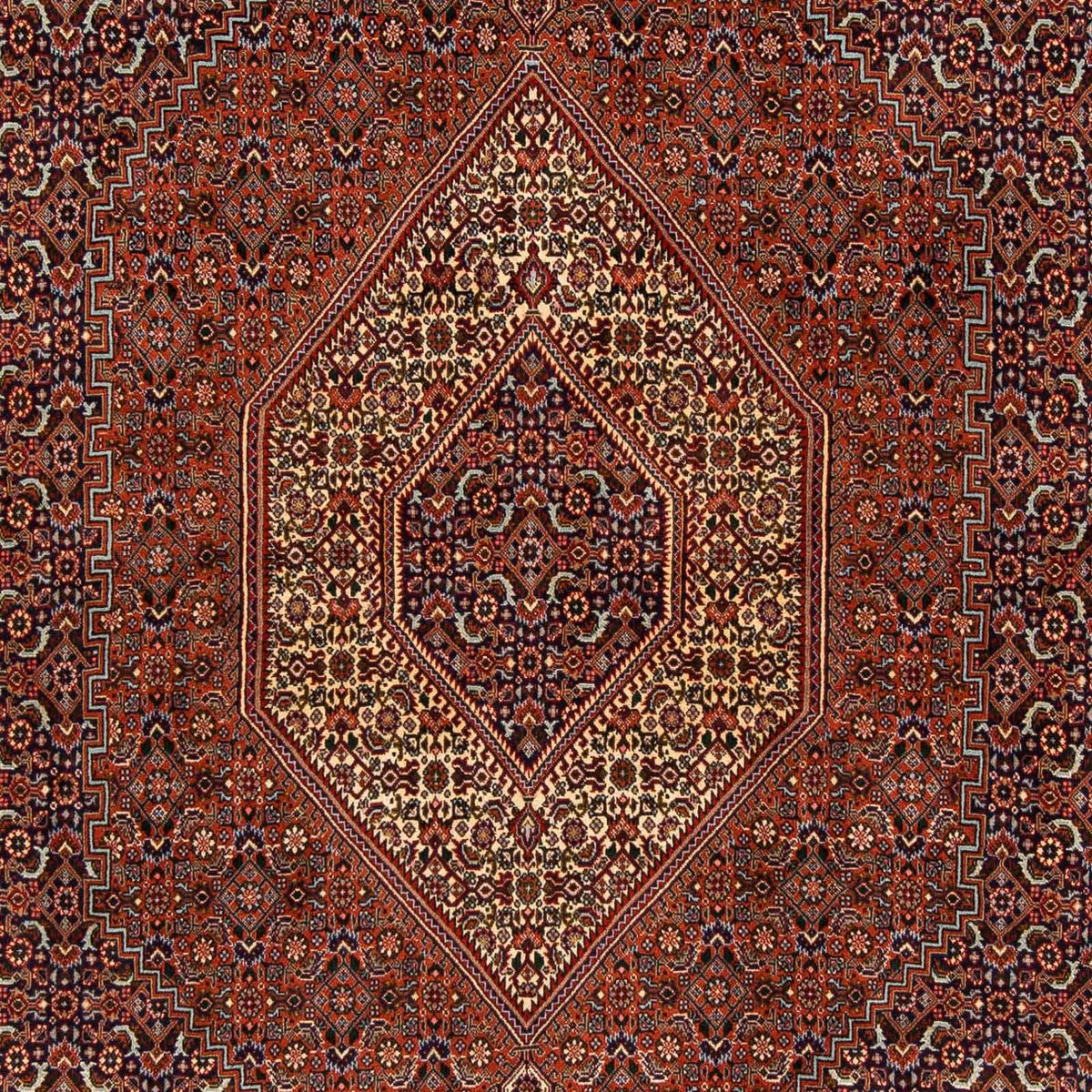 Tapis persan - Bidjar - 222 x 203 cm - marron