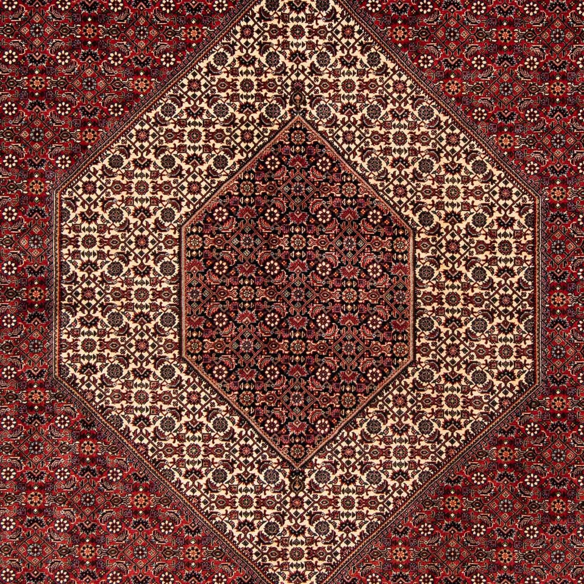 Tapis persan - Bidjar - 261 x 206 cm - rouge foncé
