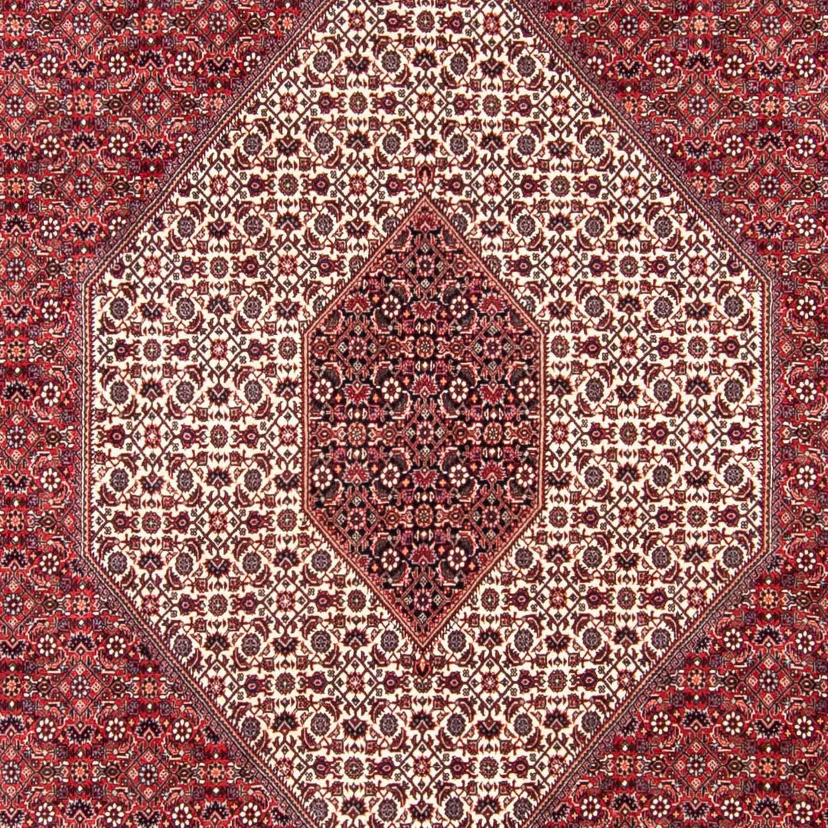 Tapis persan - Bidjar - 314 x 253 cm - rouge foncé