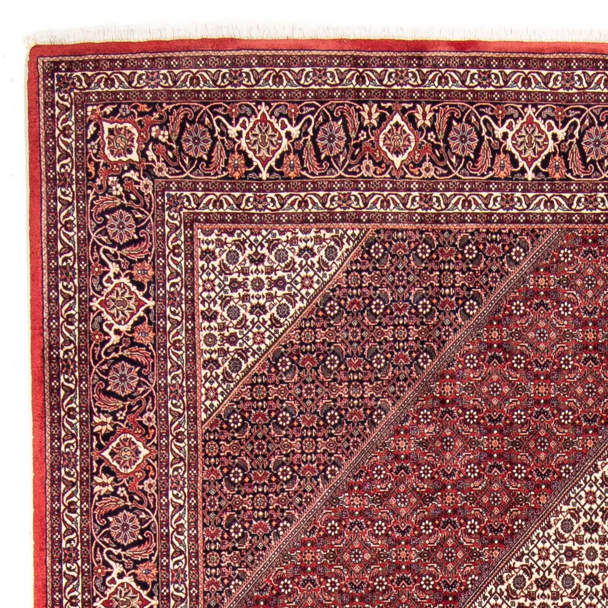 Tapis persan - Bidjar - 314 x 253 cm - rouge foncé