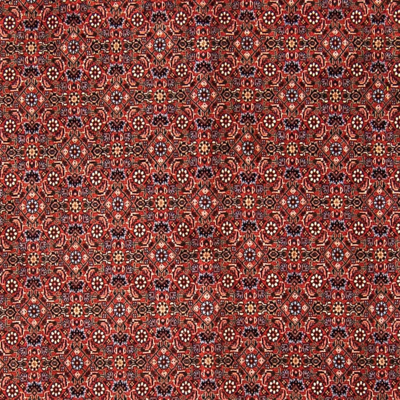 Tapis persan - Bidjar - 308 x 254 cm - rouge foncé