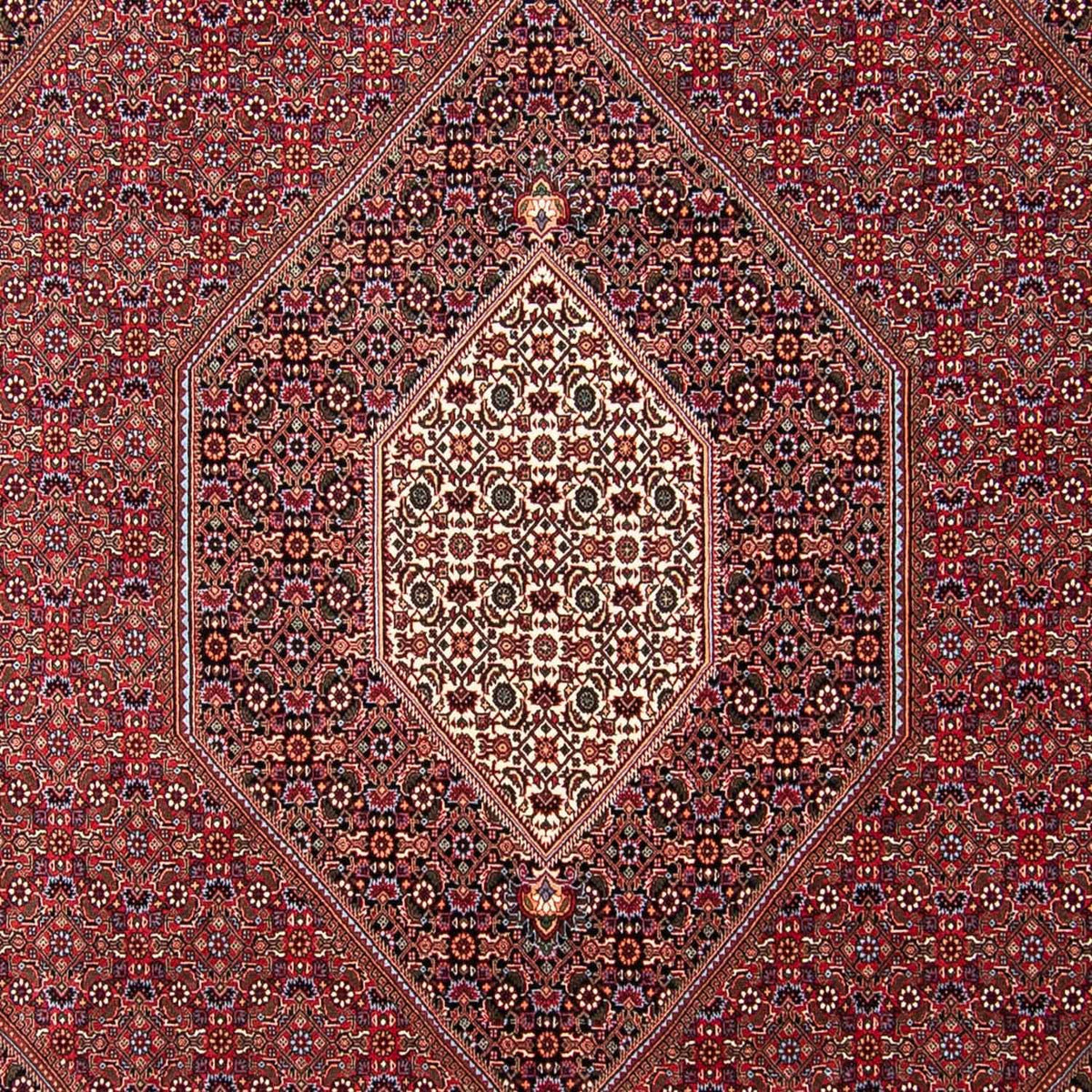 Tapis persan - Bidjar - 298 x 258 cm - rouge