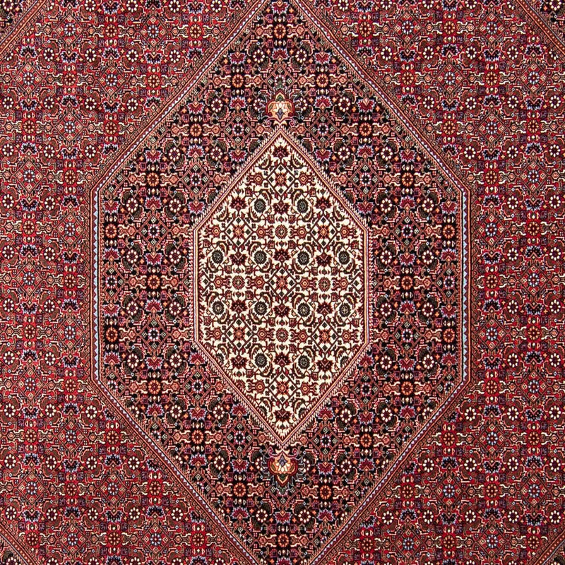 Tapis persan - Bidjar - 298 x 258 cm - rouge
