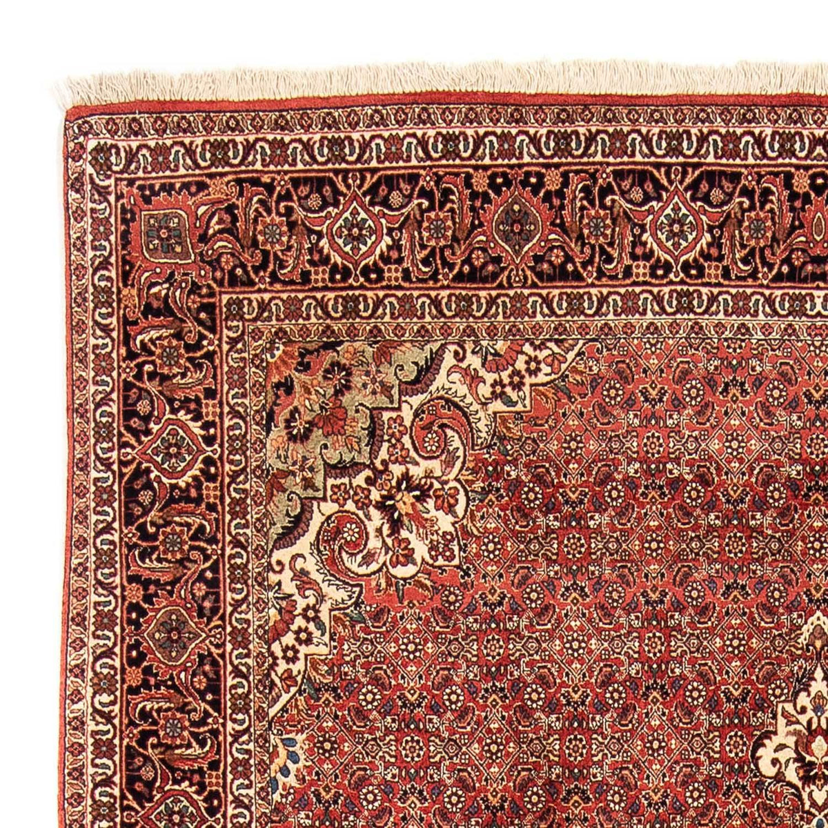 Tapis persan - Bidjar - 232 x 170 cm - rouge foncé