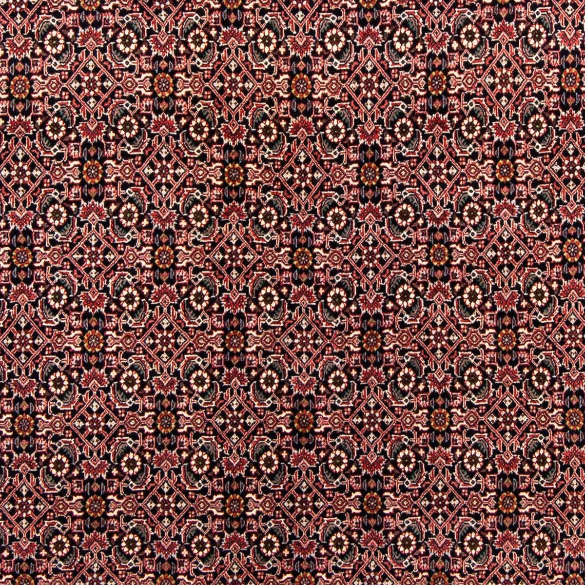 Tapis persan - Bidjar - 247 x 168 cm - bleu foncé