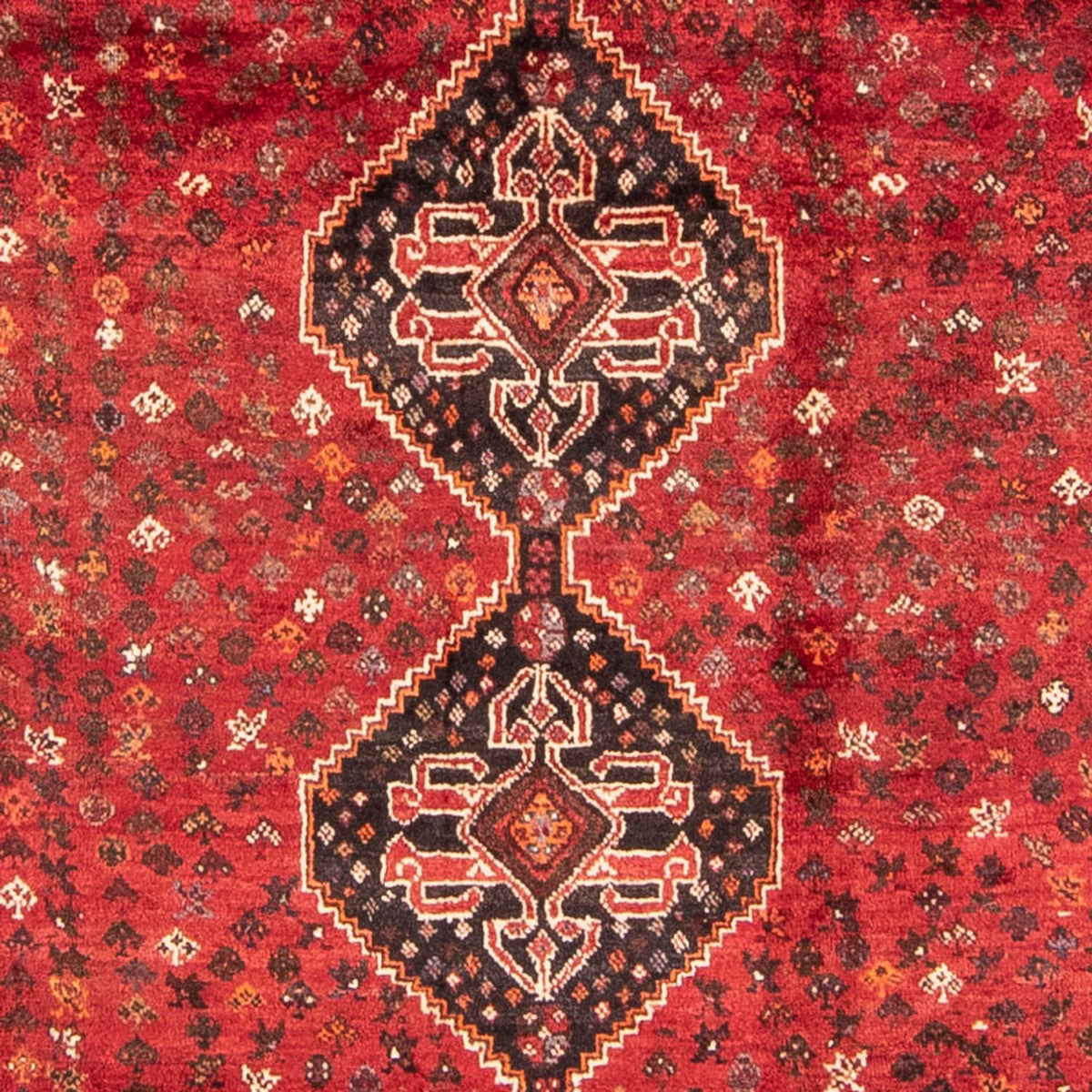 Tapis persan - Nomadic - 310 x 227 cm - rouge foncé
