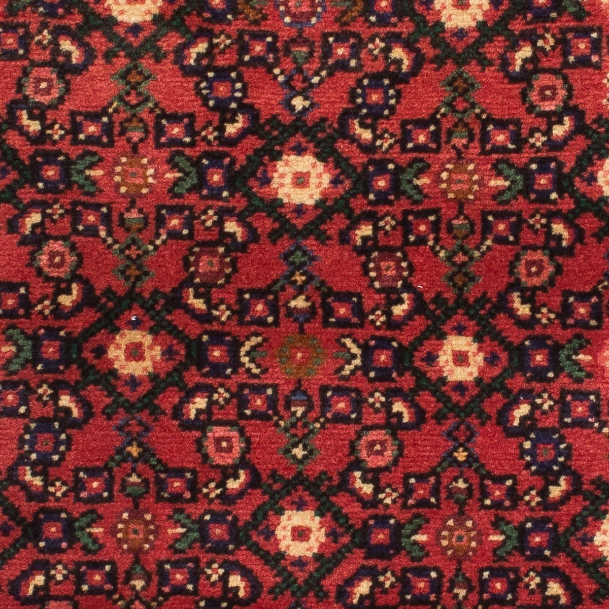 Tapis de couloir Tapis persan - Nomadic - 200 x 73 cm - rouge foncé