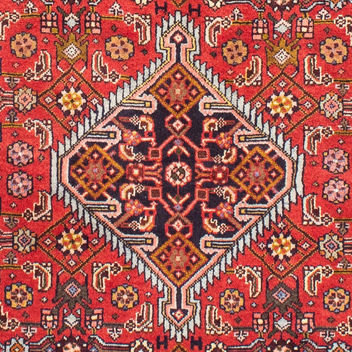 Tapis persan - Nomadic - 152 x 100 cm - rouge