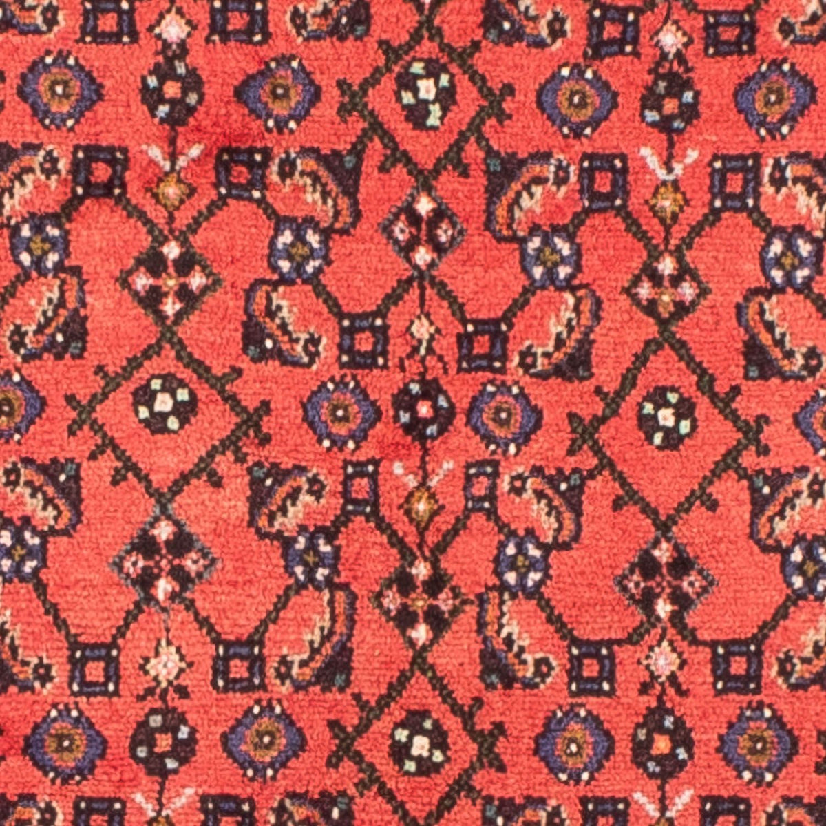 Tapis persan - Nomadic - 210 x 150 cm - rouge