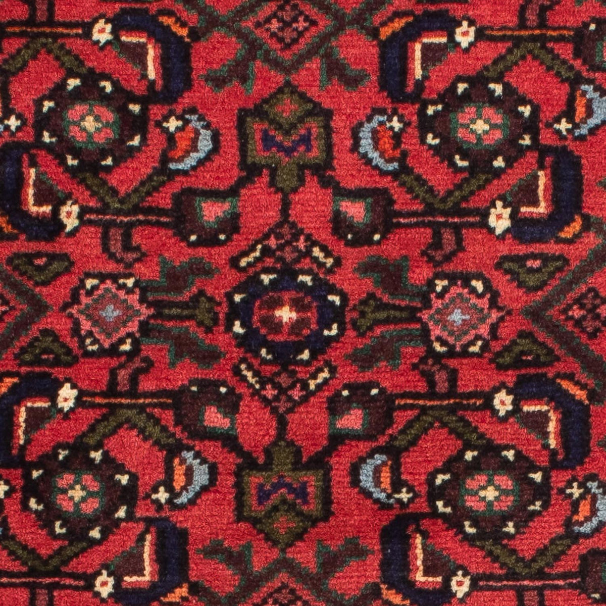 Tapis de couloir Tapis persan - Nomadic - 195 x 75 cm - rouge foncé