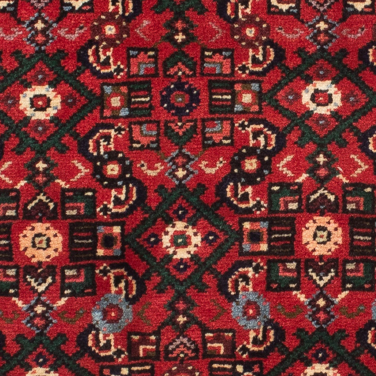 Tapis de couloir Tapis persan - Nomadic - 210 x 76 cm - rouge foncé