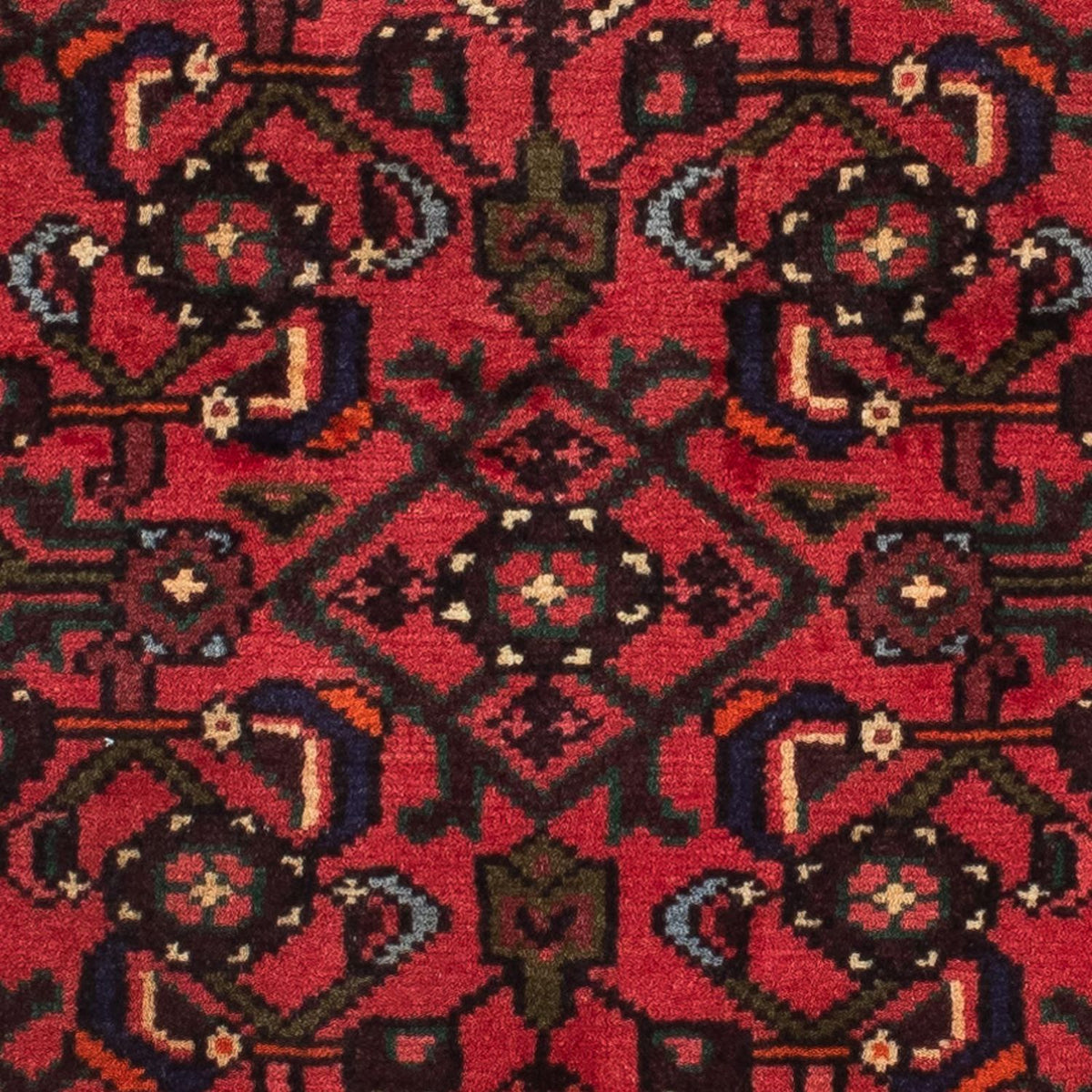 Tapis de couloir Tapis persan - Nomadic - 200 x 70 cm - rouge foncé