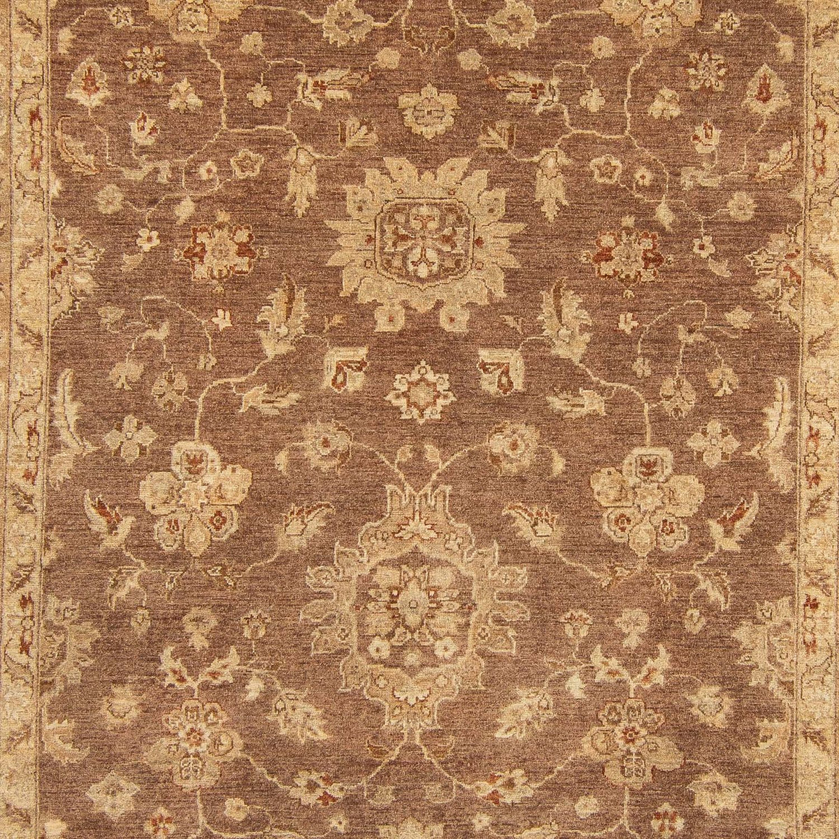 Tapis Ziegler - 369 x 270 cm - marron foncé