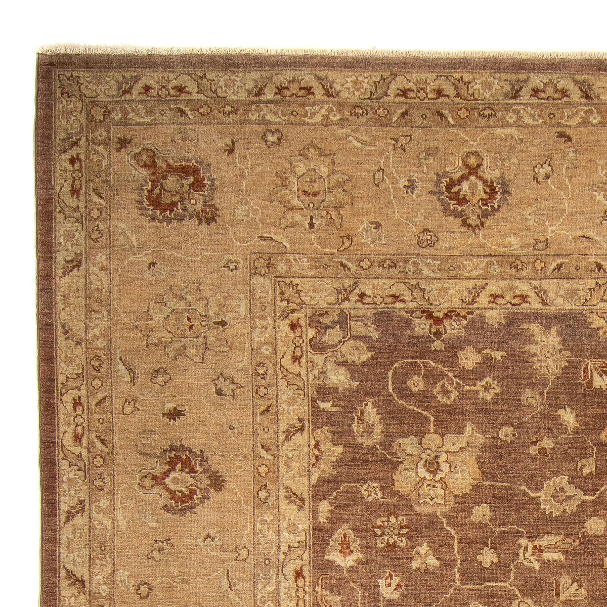 Tapis Ziegler - 369 x 270 cm - marron foncé