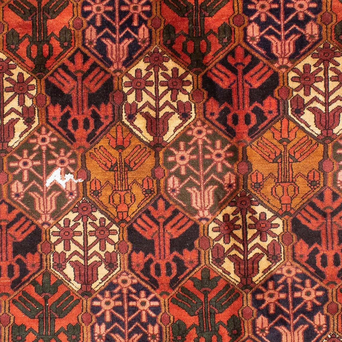 Tapis persan - Nomadic - 288 x 210 cm - rouge clair