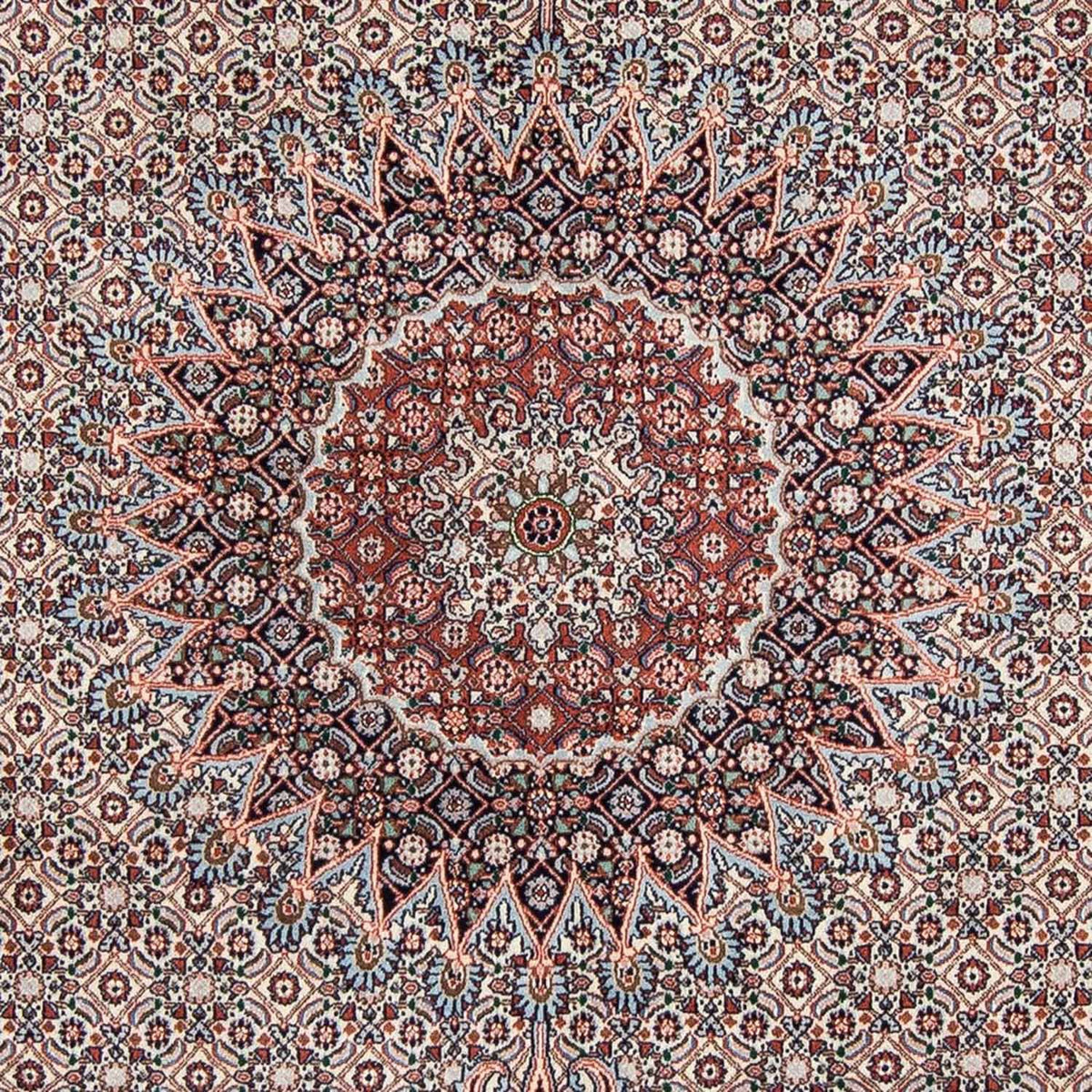 Tapis persan - Classique - 272 x 215 cm - beige