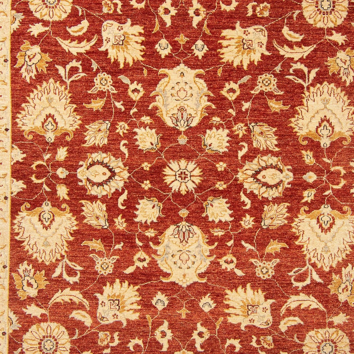Tapis Ziegler - 350 x 277 cm - rouge