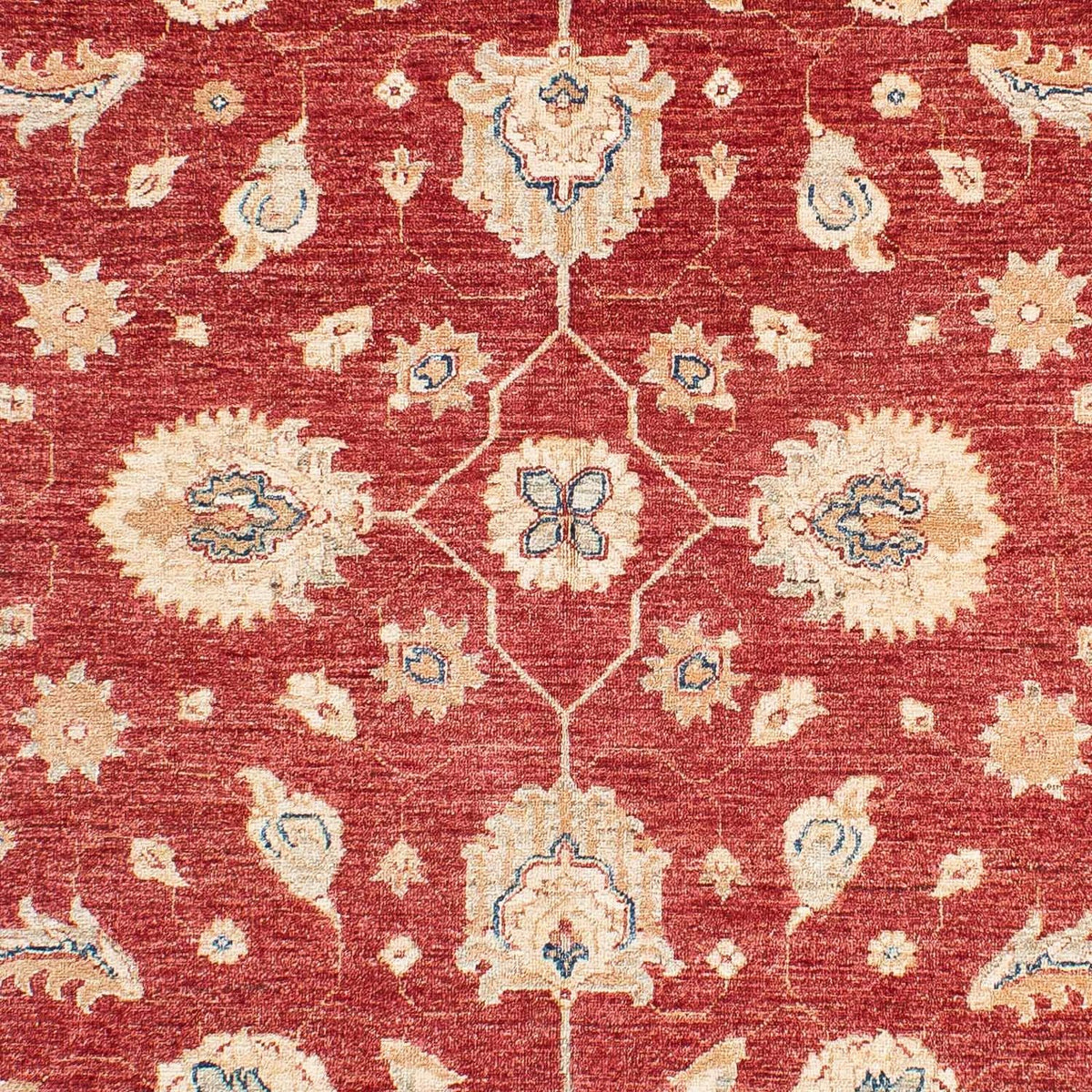 Tapis Ziegler - 234 x 167 cm - rouge foncé