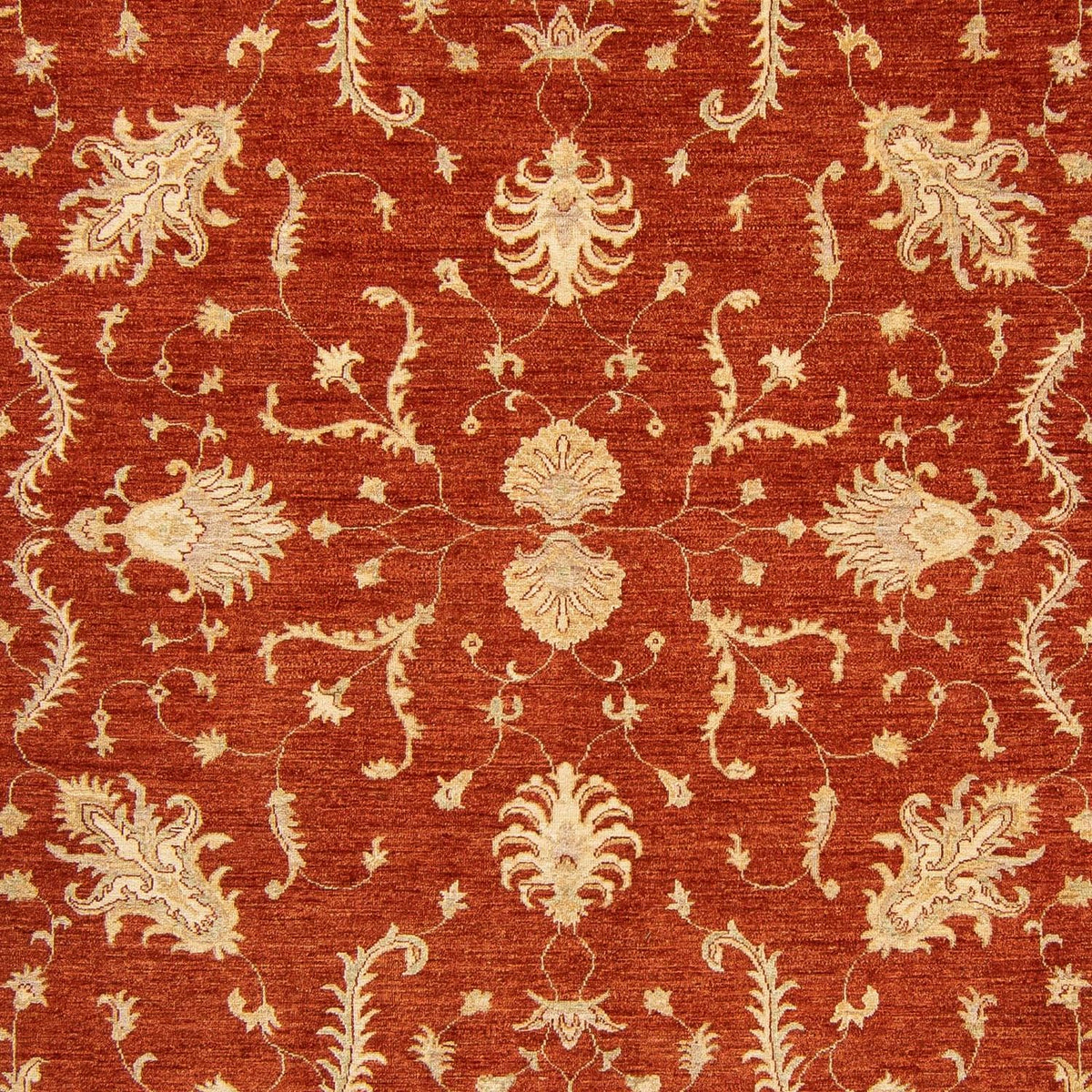 Tapis Ziegler - 350 x 254 cm - rouge foncé
