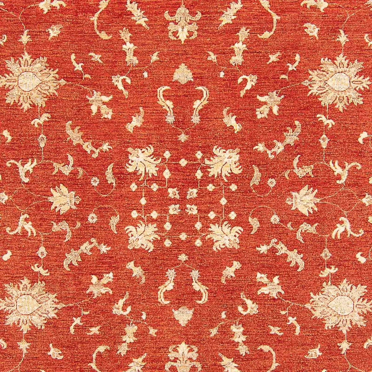 Tapis Ziegler - 341 x 250 cm - rouille