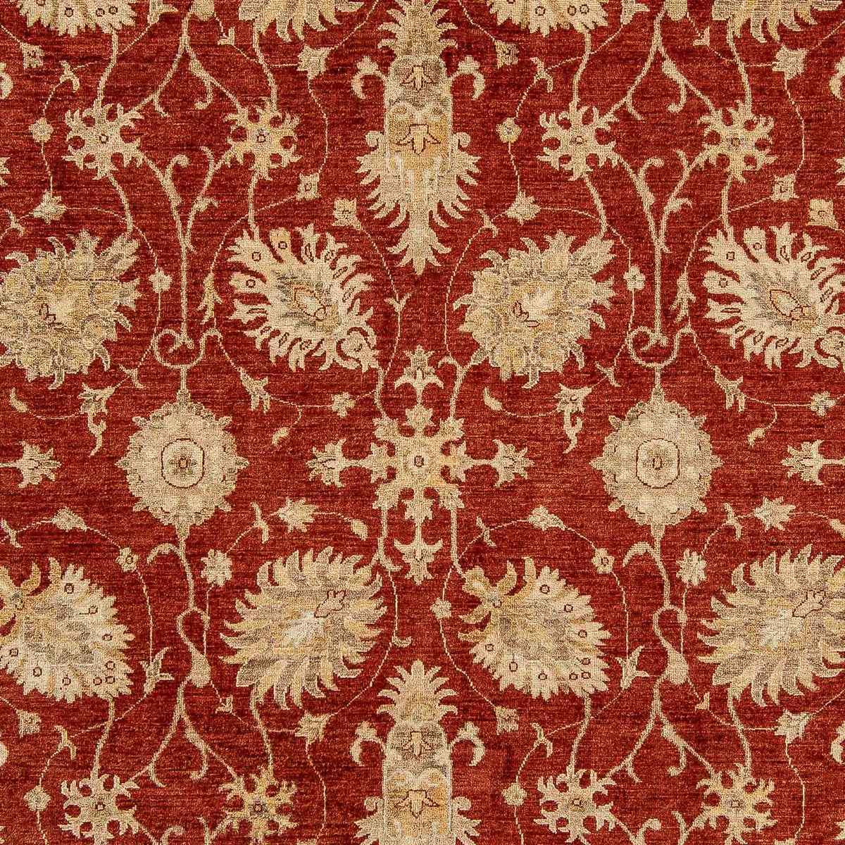 Tapis Ziegler - 295 x 249 cm - rouge foncé