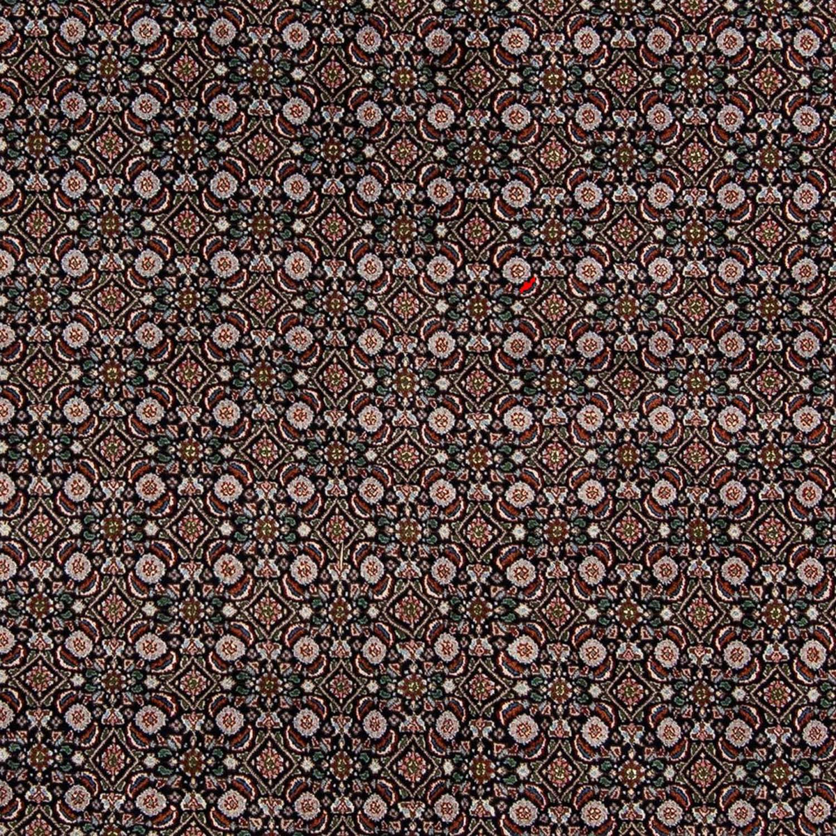 Tapis persan - Classique - 295 x 192 cm - bleu foncé
