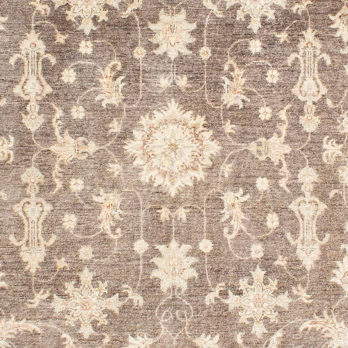 Tapis Ziegler - 236 x 166 cm - beige