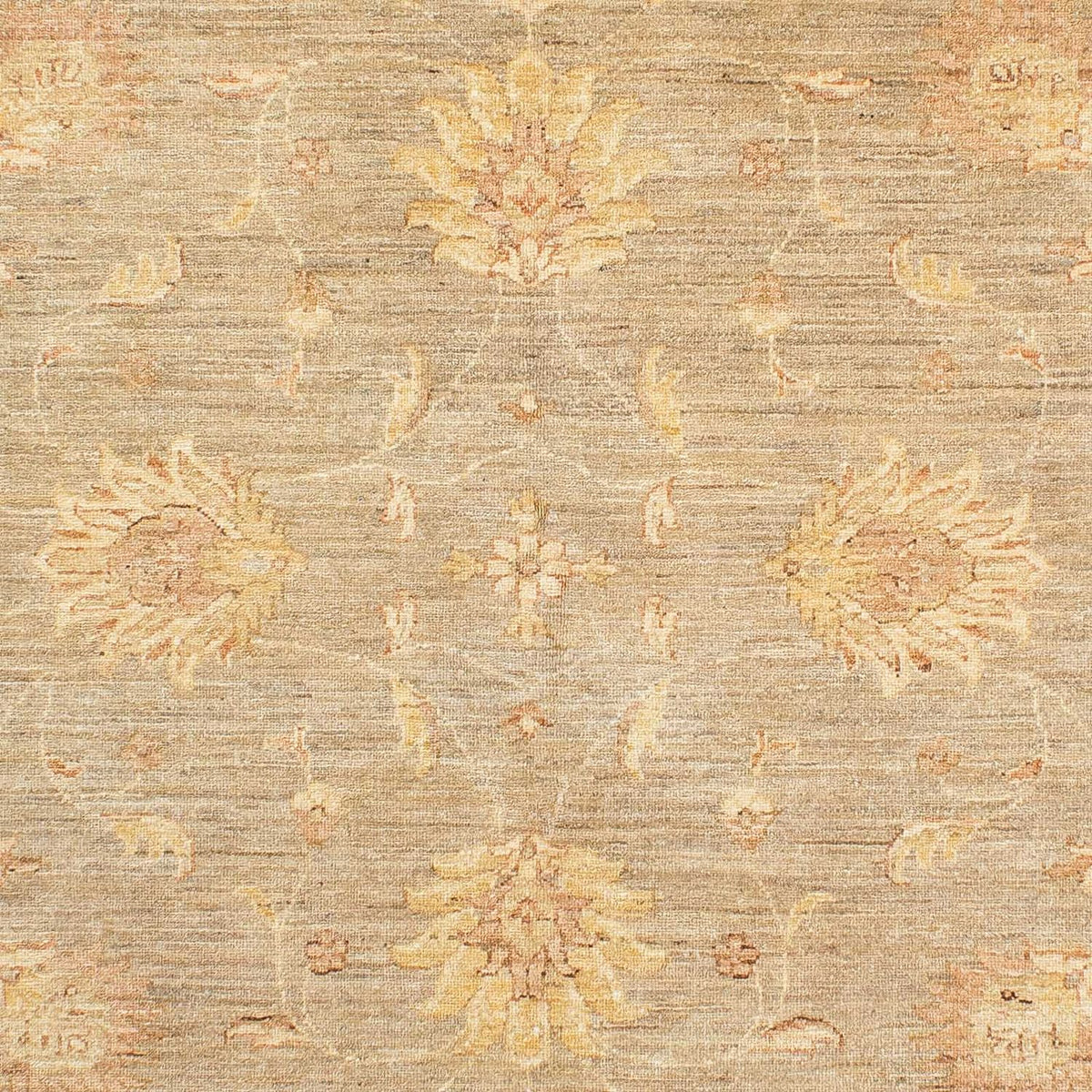 Tapis Ziegler - 241 x 175 cm - beige