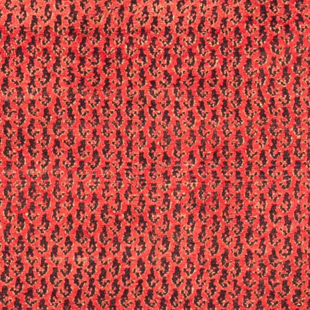 Tapis de couloir Tapis persan - Nomadic - 312 x 112 cm - rouge