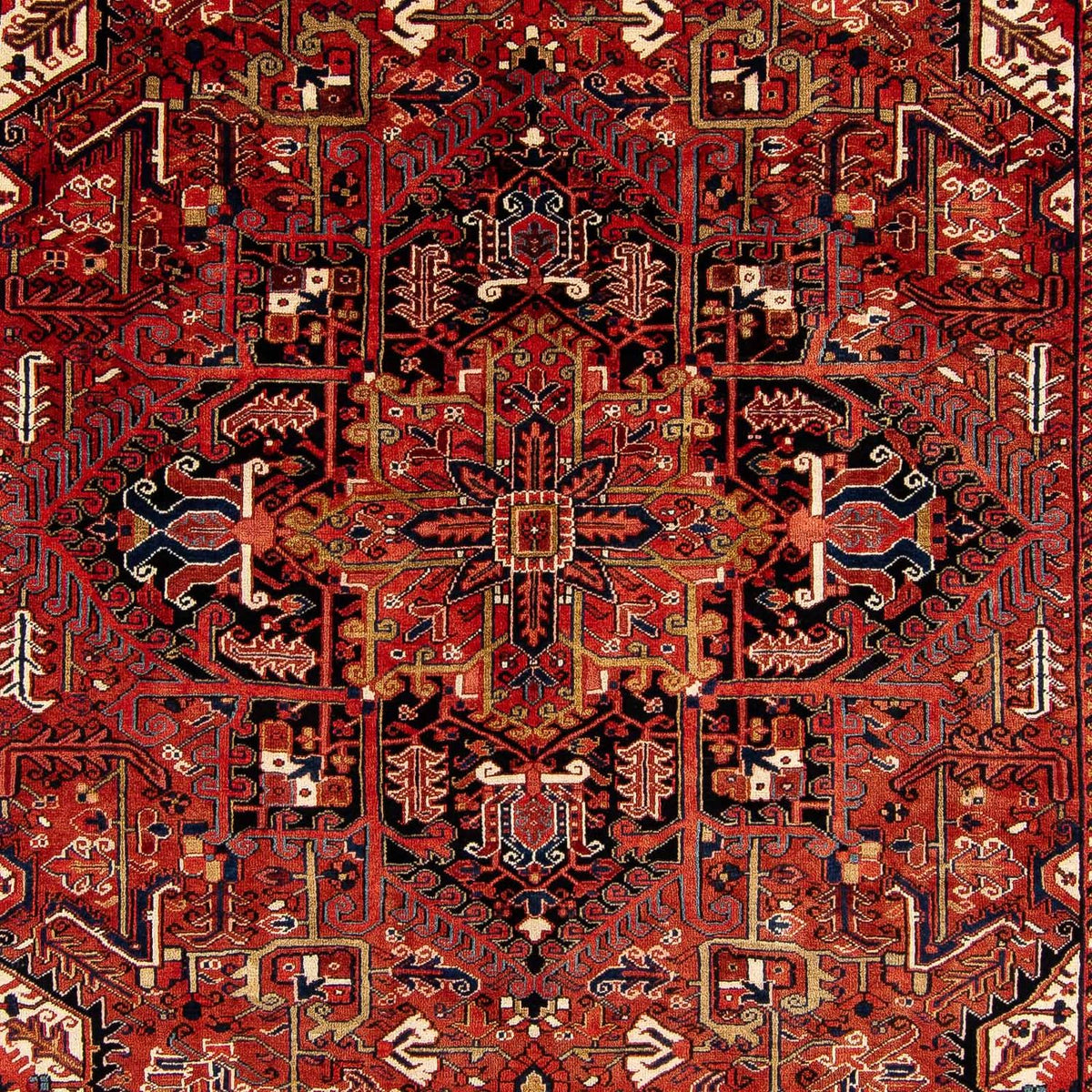 Tapis persan - Nomadic - 380 x 260 cm - rouge foncé