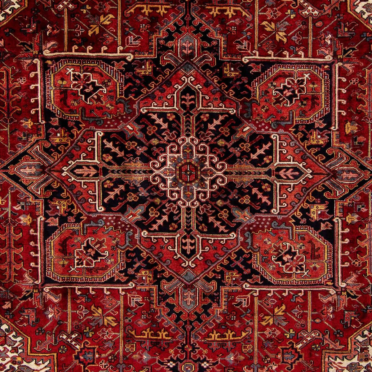 Tapis persan - Nomadic - 380 x 310 cm - rouge foncé